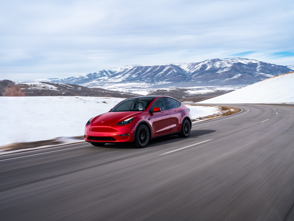 Tesla Model Y New Zealand