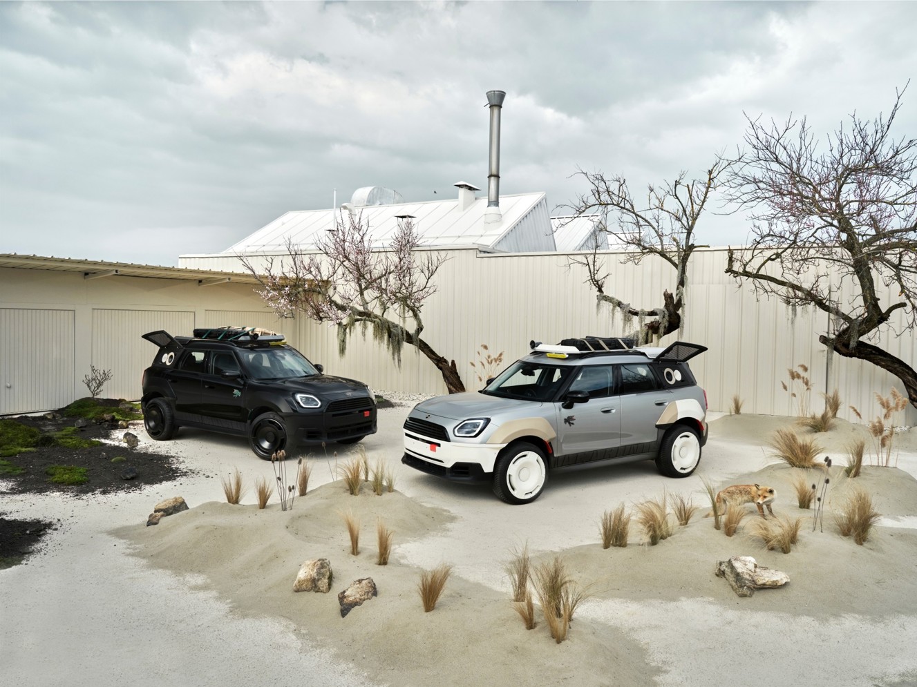 Mini Countryman Vagabund
